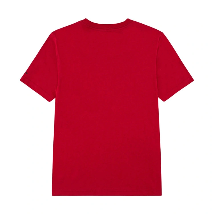 camiseta-jordan-jumpman-nino-gym-red-4