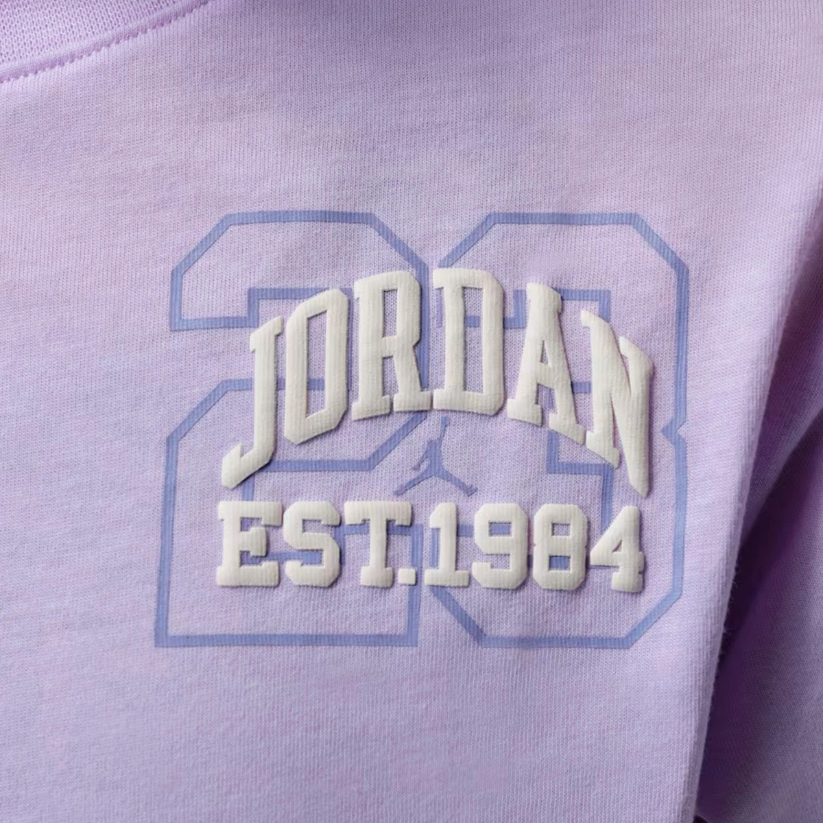 camiseta-jordan-scrat-garden-collegiate-nina-violet-mist-3