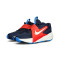 Nike Team Hustle D 12 Preescolar Basketball Shoes