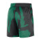Nike Boston Celtics Practice Mesh Courtside Shorts