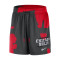 Nike Chicago Bulls Practice Mesh Courtside Shorts