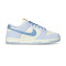 Nike Dunk Low Se Mujer Trainers