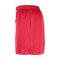 Nike WNBA 30th Anniversary Shorts