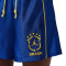 Jordan Brasilien x Jordan Damen Shorts