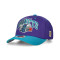 Mitchell & Ness Charlotte Hornetts Team Arch Classic Red Cap