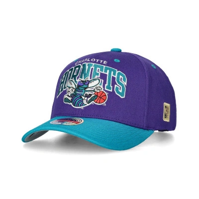 Charlotte Hornetts Team Arch Classic Red Cap