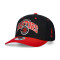 Mitchell & Ness Toronto Raptors Team Arch Classic Red Cap