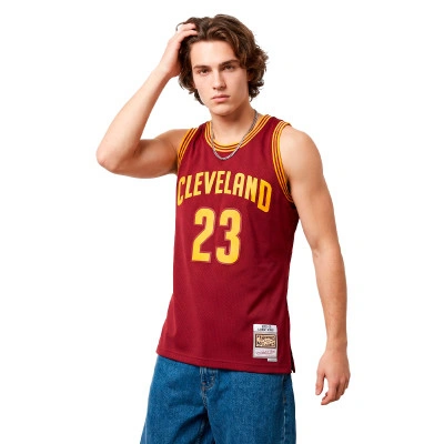 Swingman Jersey Cleveland Cavaliers 2015 - LeBron James Jersey