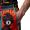 Jordan Brooklyn Mesh Aop Shorts