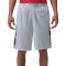 Jordan Brooklyn Cat Scratch Shorts