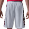 Jordan Brooklyn Cat Scratch Shorts