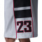 Jordan Brooklyn Cat Scratch Shorts
