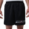 Jordan Sport Mesh Gfx Shorts