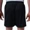 Jordan Sport Mesh Gfx Shorts