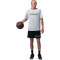 Jordan Sport Mesh Gfx Shorts