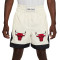 Jordan Flight Muay Thai Shorts