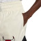Jordan Flight Muay Thai Shorts