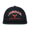 Chapéu Jordan Pro Cap Unstructured Flat Bird