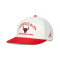 Gorra Jordan Pro Unstructured Chicago Bulls Flat Bill 5Pnl
