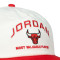 Gorra Jordan Pro Unstructured Chicago Bulls Flat Bill 5Pnl