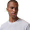 Camiseta Jordan Sport Gfx Crew 3