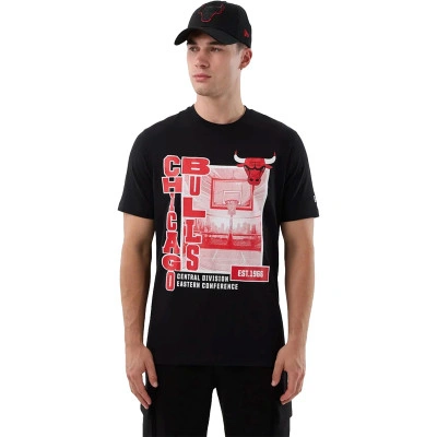 Chicago Bulls Graphic T-Shirt