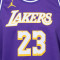 Jordan Kids Los Angeles Lakers Swingman Statement Edition Lebron James  Jersey