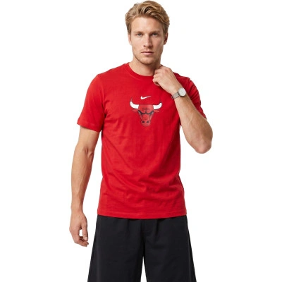 Chicago Bulls Logo T-Shirt
