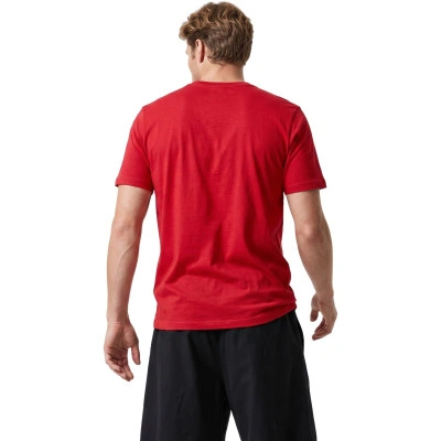 Camiseta Chicago Bulls Logo
