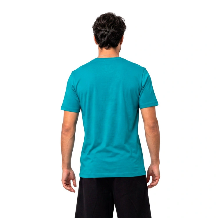 camiseta-jordan-charlotte-hornets-logo-rapid-teal-1