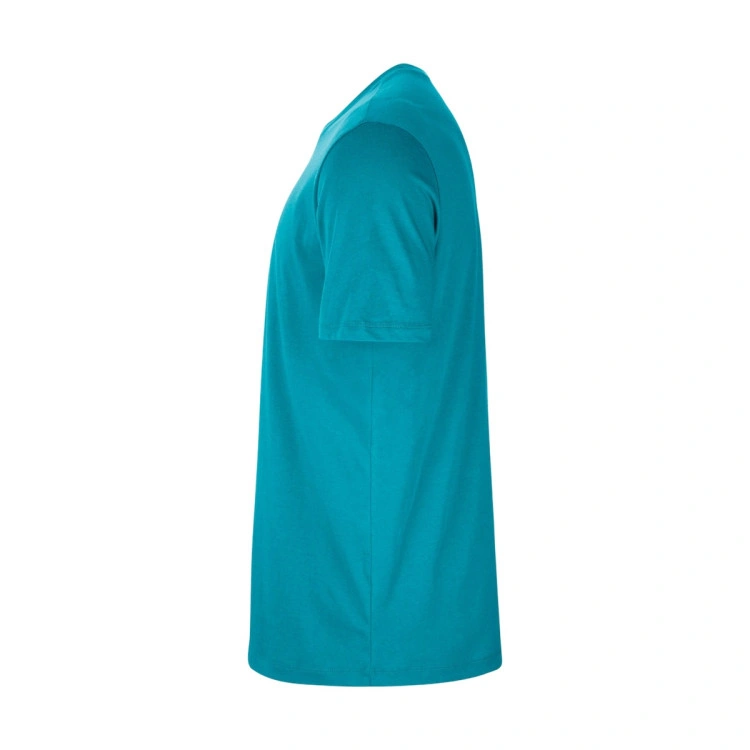 camiseta-jordan-charlotte-hornets-logo-rapid-teal-3
