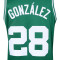 Nike Boston Celtics Swingman Icon Edition Hugo González Jersey