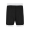 Short Nike Team 25 Mujer
