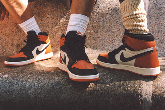 Air Jordan 1 Retro High OG 'Shattered Backboard'